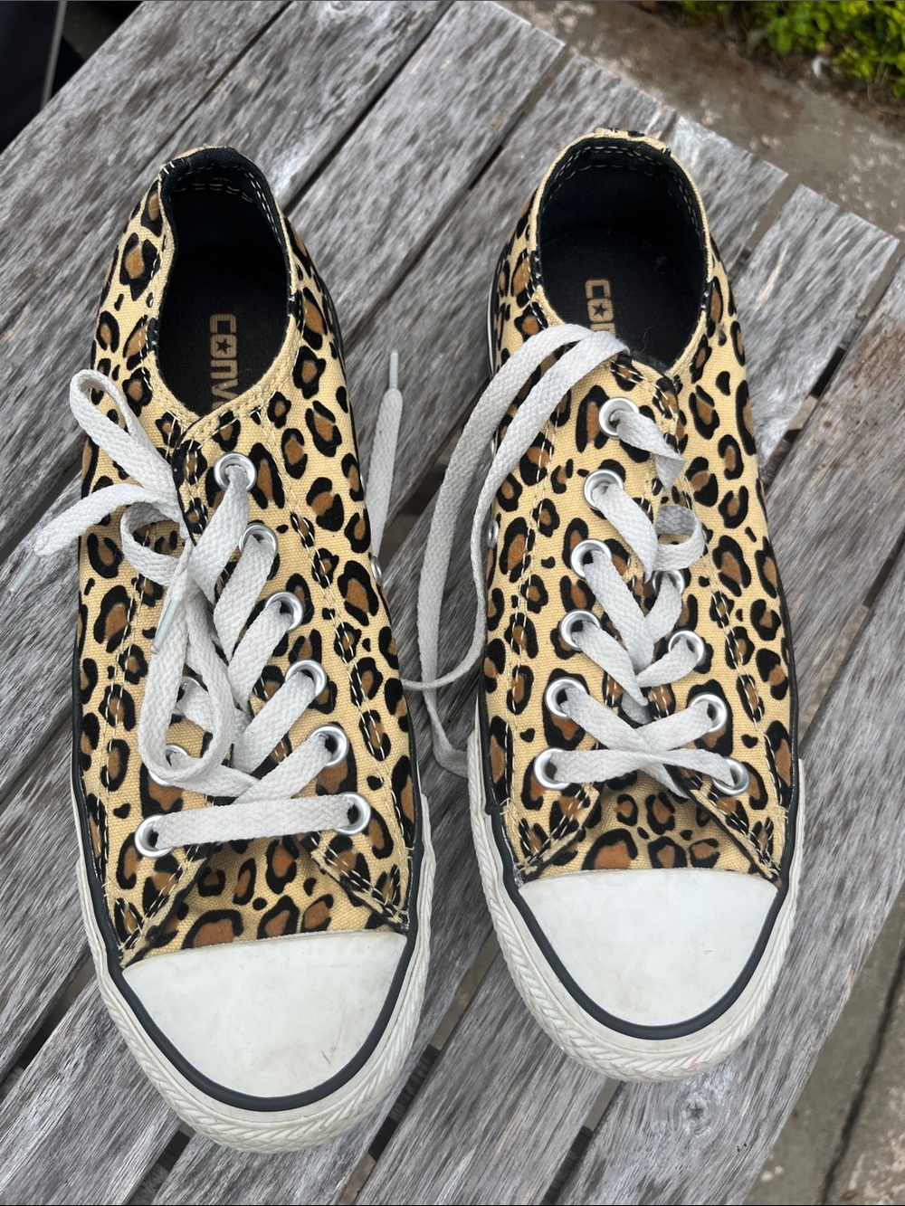 Converse Leopard Print Canvas Sneakers with White Laces